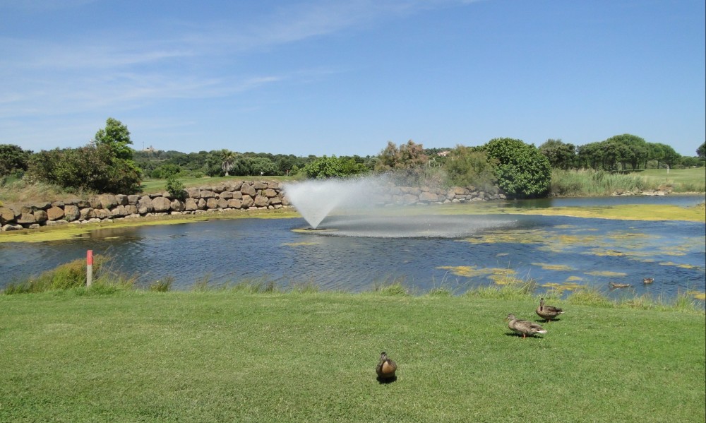 [Archive] Ségolène Royal, ministre de l’Ecologie, soutient le projet d’irrigation du golf de Spérone (Corse) avec des eaux usées traitées