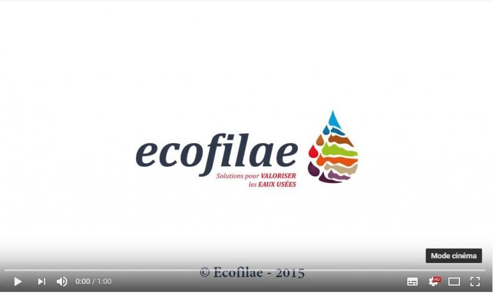 Ecofilae, présentation en 1 minute
