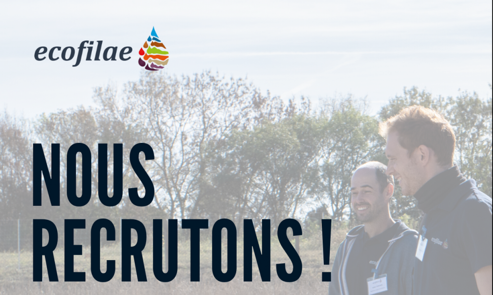 Offre d'emploi - Chef de Projets (H/F)