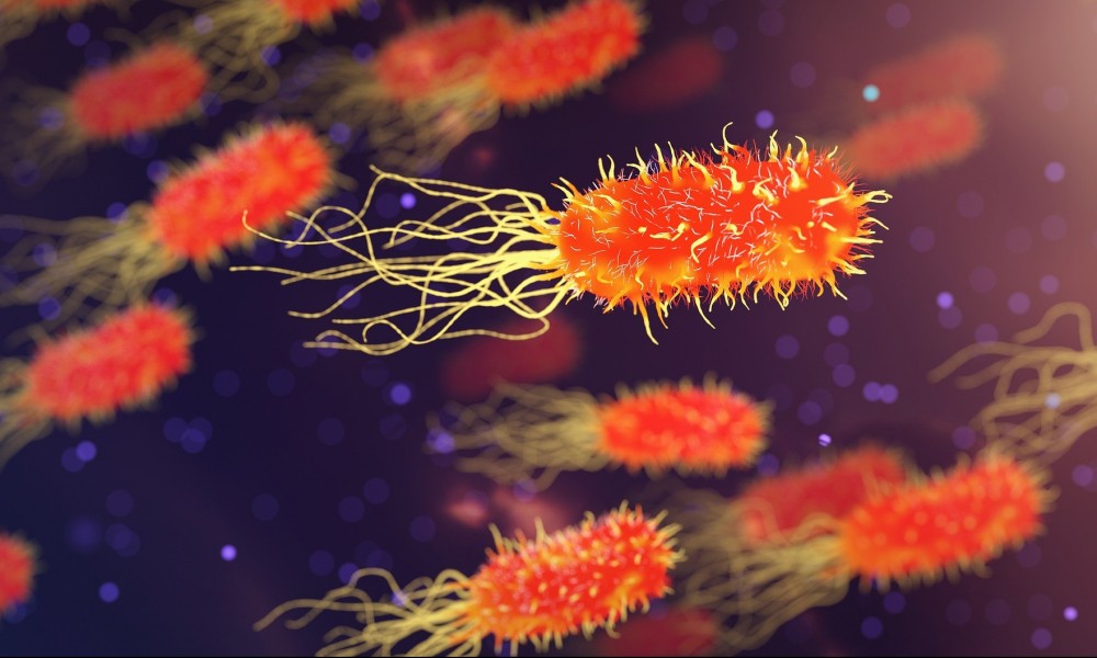 La désinfection des eaux usées une solution pour éviter le développement des bactéries antibiorésistantes ?