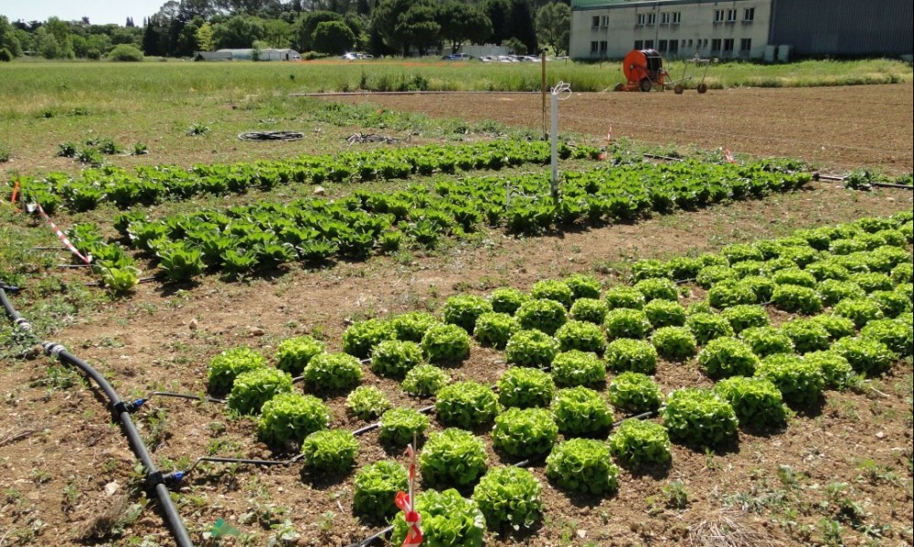 Pre-feasibility of a demonstrator pilot for the recovery of non-conventional water