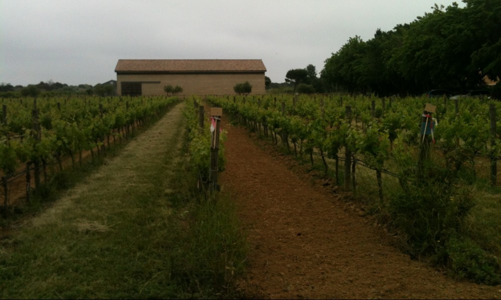 Etude de faisabilité juridique, technique, économique et organisationnelle de création d’une Association Syndicale de Propriétaires