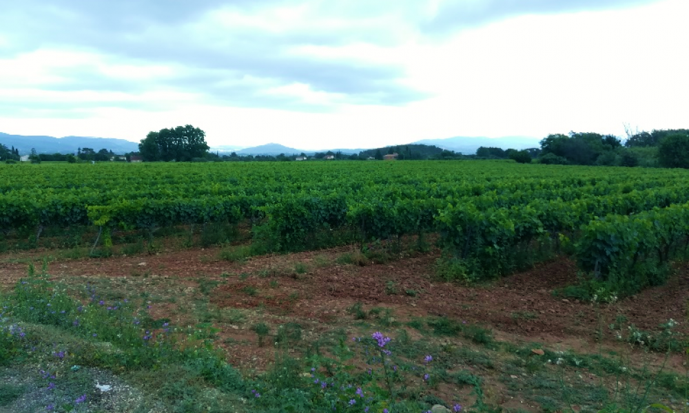 Etude d’opportunité pour la réutilisation des eaux épurées - STEP de Cuers