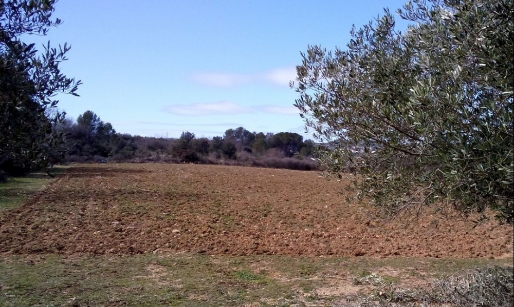 Regulatory file for the development of pilot project in Murviel-lès-Montpellier
