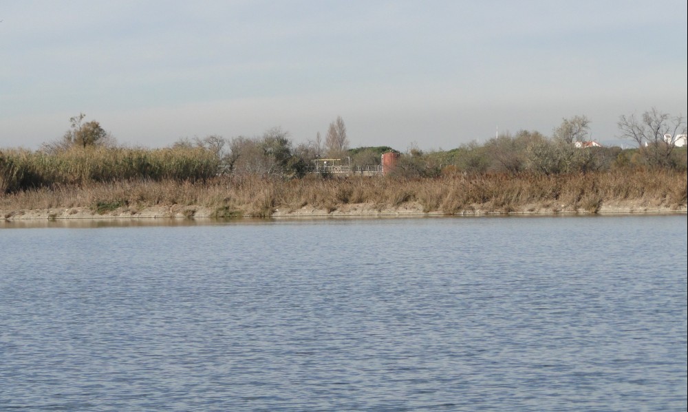 Etude de diagnostic et d'aide à la décision pour la réutilisation des eaux usées de Le-Grau-du-Roi
