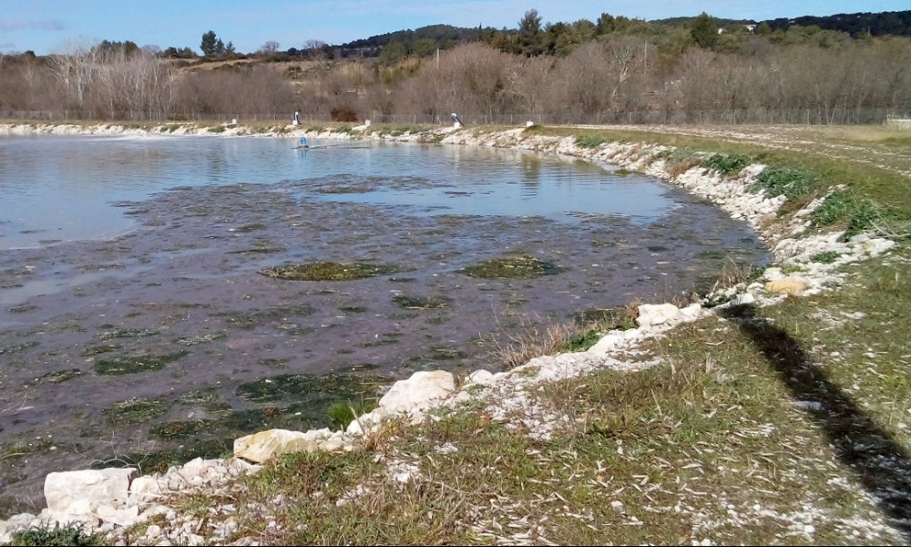 Montage de dossier réglementaire pour le projet de pilote à Murviel-lès-Montpellier