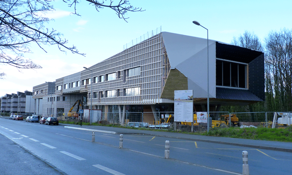 Formation initiale des étudiants de l'ISTOM