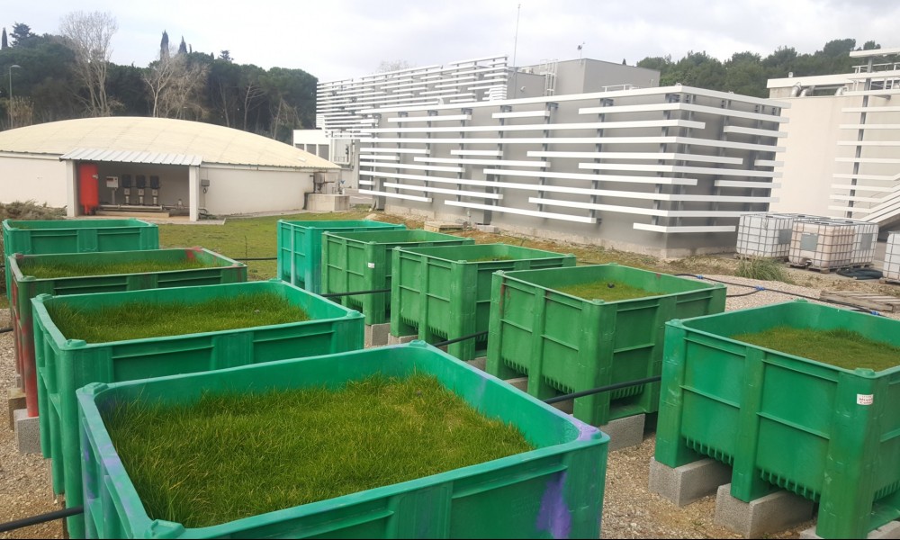 Plateforme-pilote de tests pour la réutilisation des eaux : impacts de la salinité
