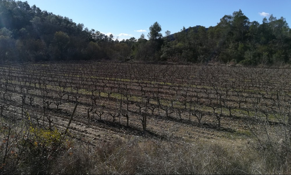 Etude de diagnostic et d'aide à la décision pour la REUT sur la commune de Valflaunès