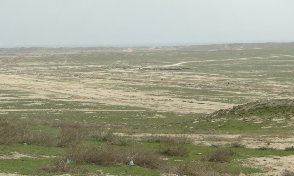Potential study for a field demonstrator pilot to develop salty water from petroleum production for irrigation